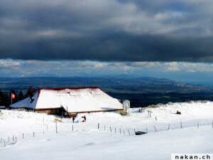 Ski de fond au Mollendruz